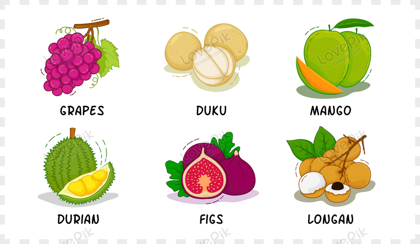 vector fruits graphic collection png image picture free download 450002157 lovepik com vector fruits graphic collection png