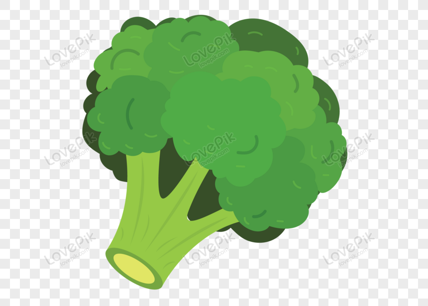 Cartoon Broccoli PNG Images With Transparent Background | Free Download On  Lovepik