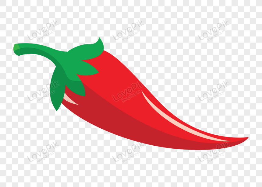 chili vector png