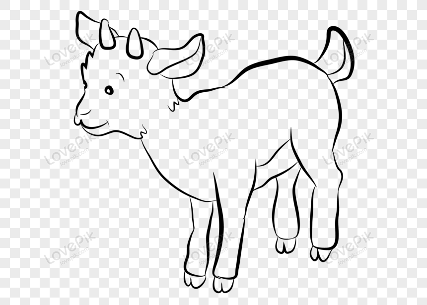 Cartoon Black Line Goat PNG Hd Transparent Image And Clipart Image For Free  Download - Lovepik | 450008144
