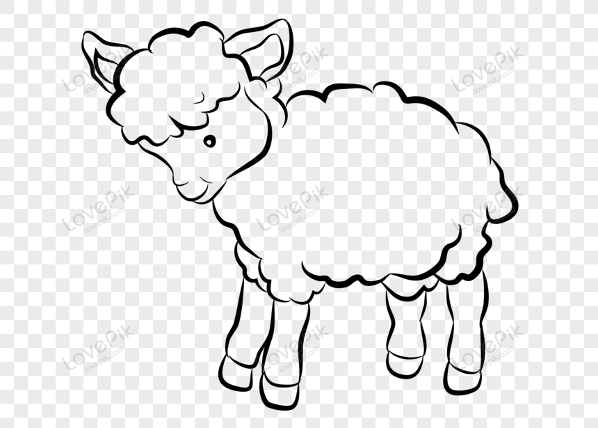 Sheep Cartoon Images, HD Pictures For Free Vectors Download 