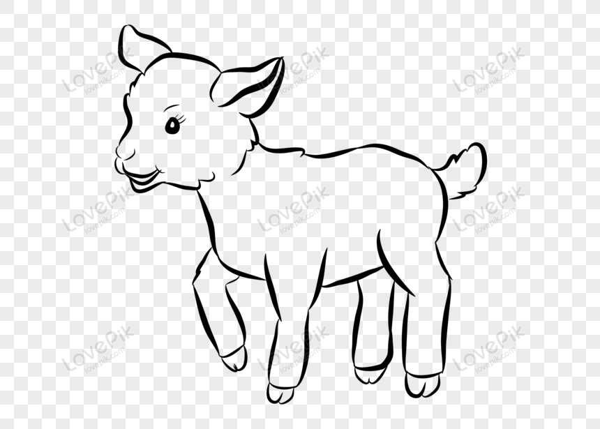 Black Line Clipart Goat PNG Transparent Background And Clipart Image For  Free Download - Lovepik | 450008150