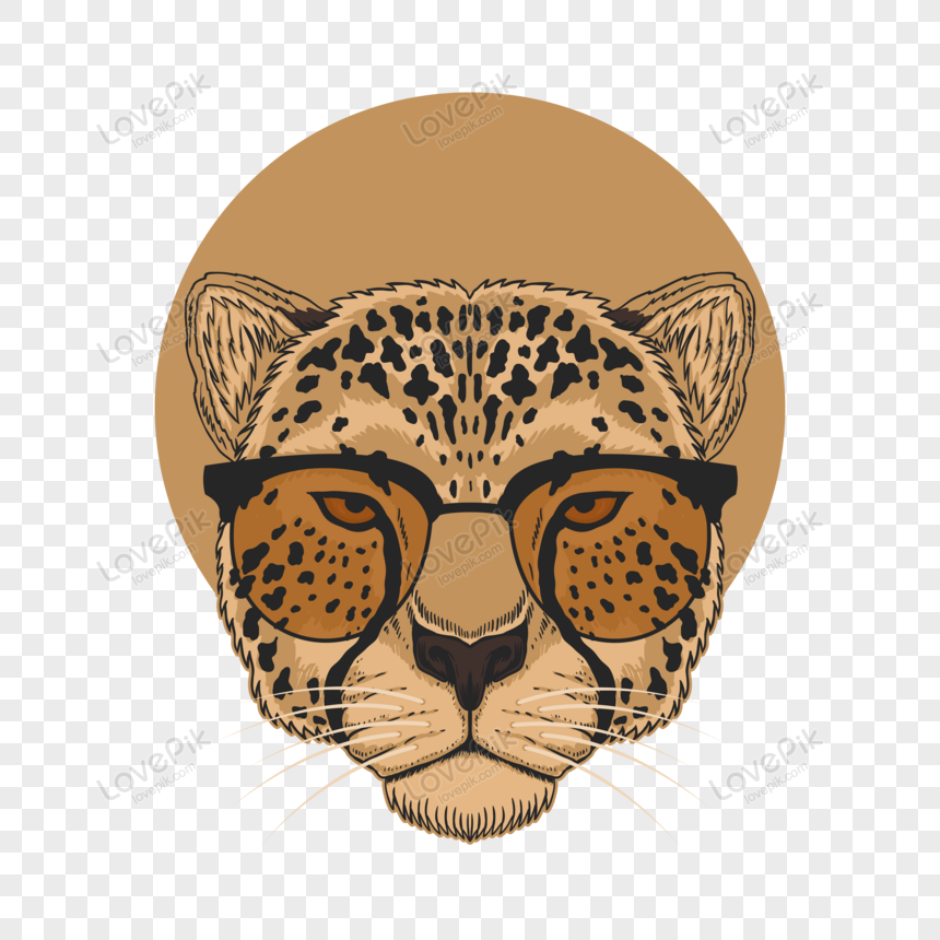 Cheetah Images  Free HD Backgrounds, PNGs, Vectors