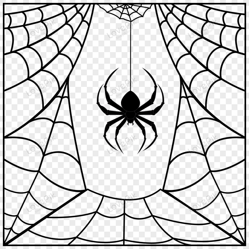 Spider And Spiderweb PNG Transparent Background And Clipart Image For Free  Download - Lovepik | 450009340