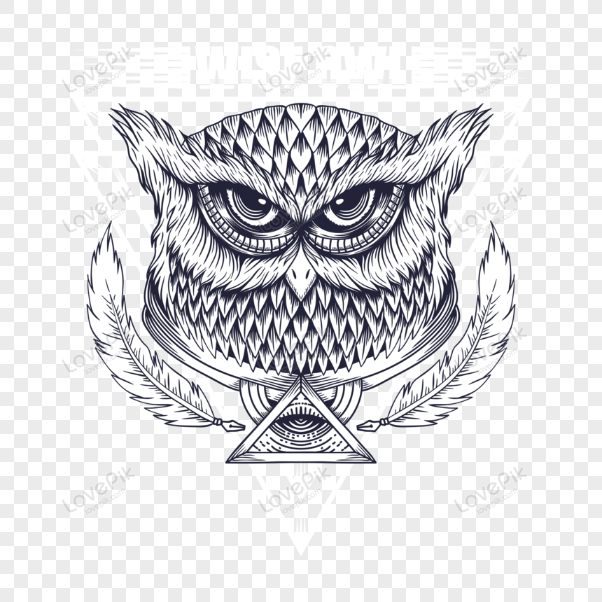 owl vector free download