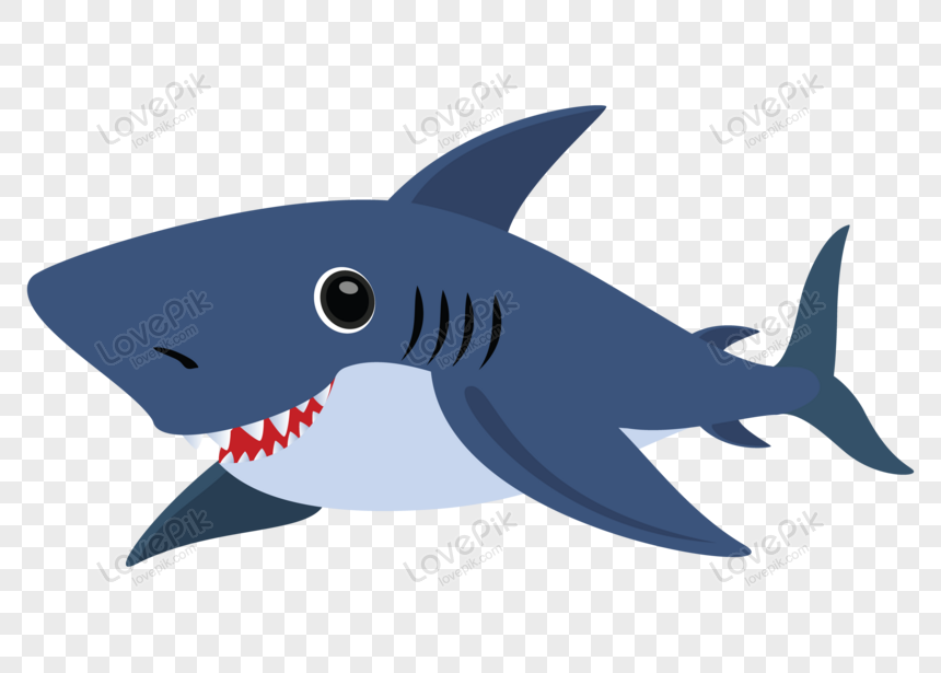 Cartoon Shark PNG Free Download And Clipart Image For Free Download -  Lovepik | 450016853