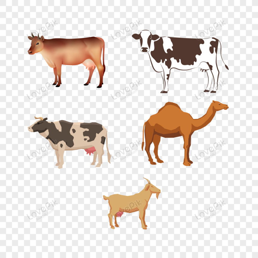 Farm Cattle And Cow Animal Vector PNG Image And Clipart Image For Free  Download - Lovepik | 450018378