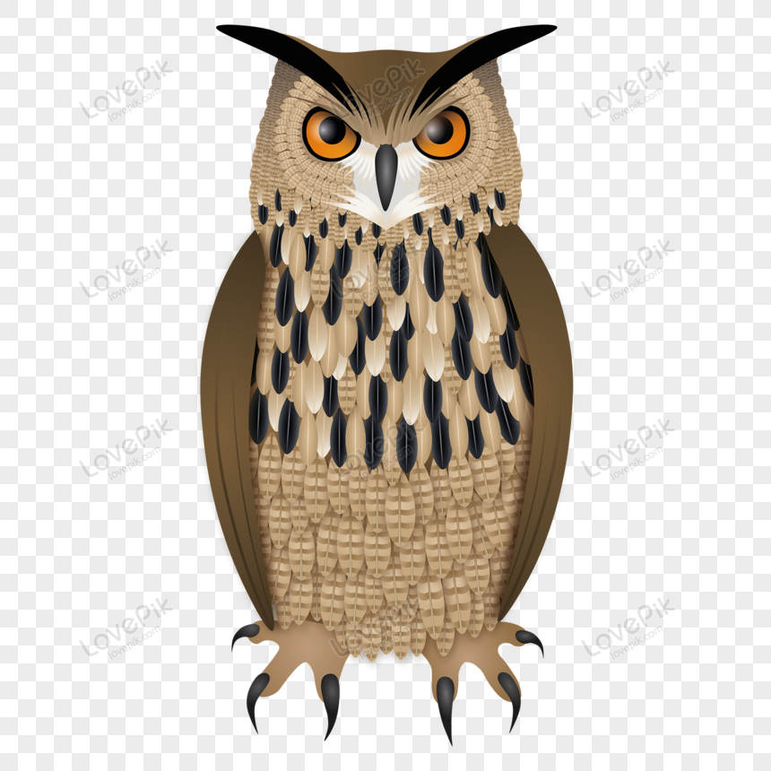 Cartoon Owl Vector PNG Picture And Clipart Image For Free Download -  Lovepik | 450031505