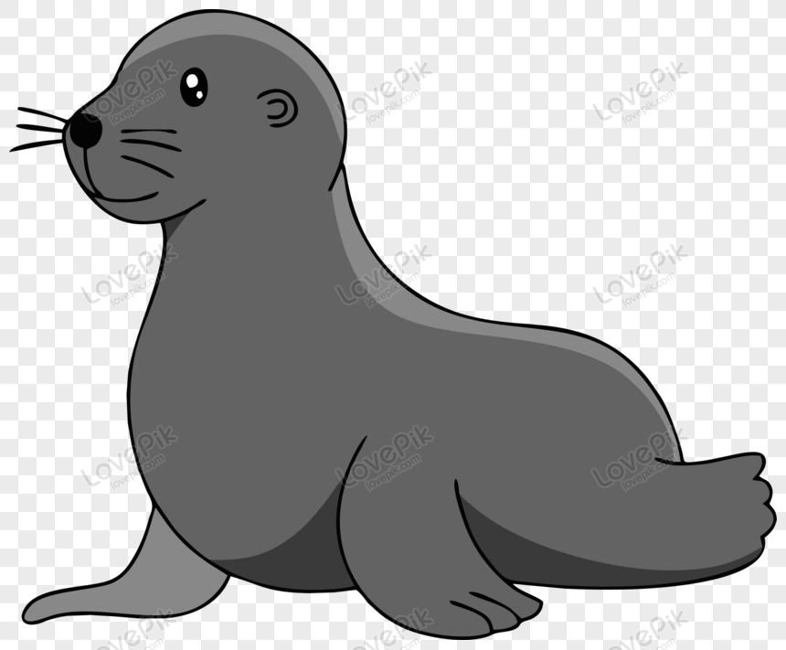 Animation Cute Seal Illustration Vector PNG Hd Transparent Image And  Clipart Image For Free Download - Lovepik | 450061704