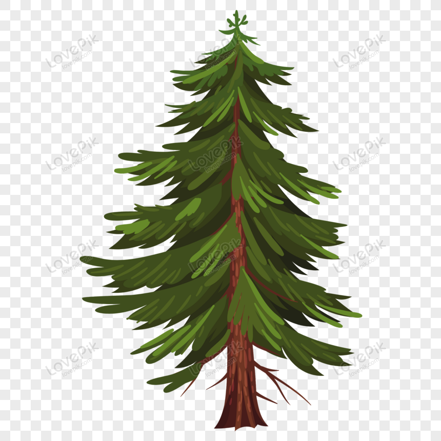 Spruce Pine Tree Illustration, Drawing, Engraving, Ink, Line Art, Vector  Stock Vector - Illustration of pine, nature: 155510292