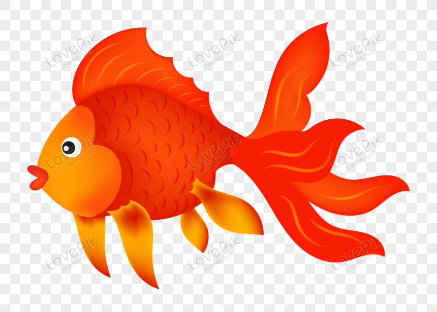 Cartoon Aquarium Red Fish PNG Transparent Background And Clipart Image For  Free Download - Lovepik | 450072650