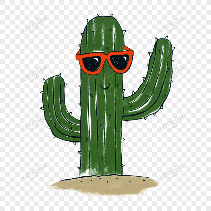 Cactus Cartoon png download - 776*512 - Free Transparent Cactus png  Download. - CleanPNG / KissPNG