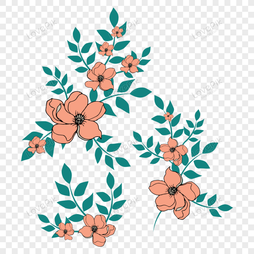 Vector Floral Aislado En Fondo Transparente PNG Imágenes Gratis - Lovepik