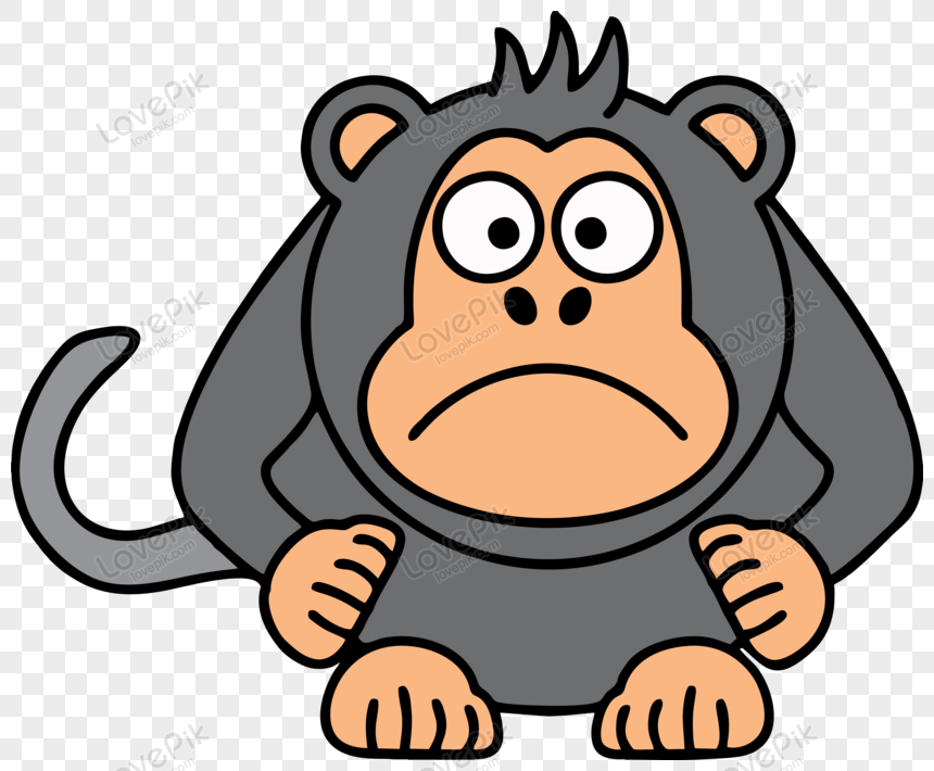 Vector high quality animated cute ape, wild, zoo, monkey png transparent background