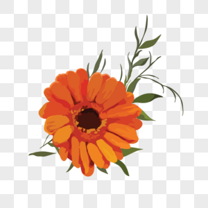 Orange Flower