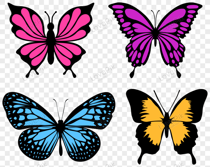 3d Butterfly PNG Transparent Images Free Download, Vector Files