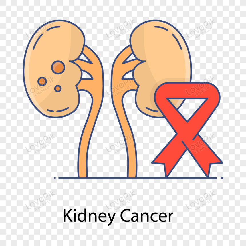Kidneys Cancer Flat Outline Vector Awareness Ribbon Over Kidney