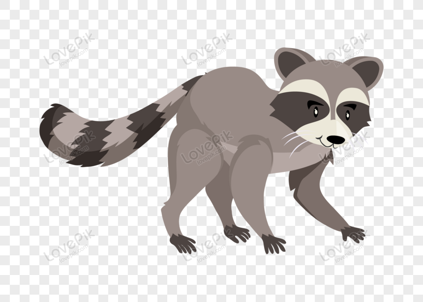 Cartoon Raccoon Images, HD Pictures For Free Vectors Download 