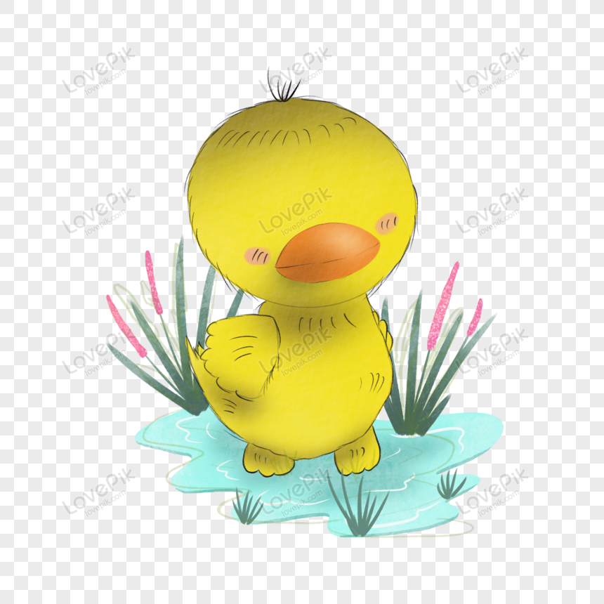 Cute Ducks PNG Images With Transparent Background | Free Download On Lovepik