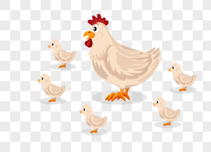 white chicken hen png