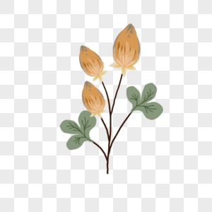 Brown Flower PNG Images With Transparent Background | Free Download On  Lovepik
