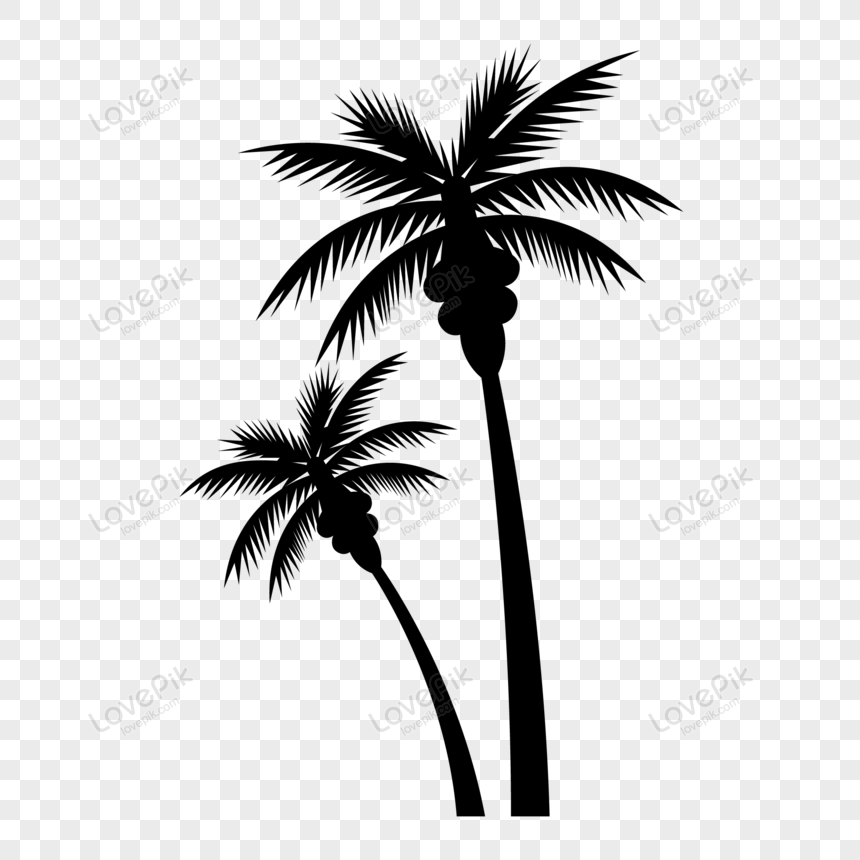 Two palm trees silhouette isolated, tree, isolated, object png picture