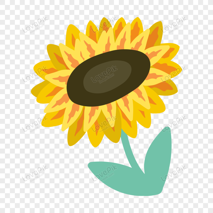 Icono Moderno De Girasol Dibujado A Mano Plana PNG Imágenes Gratis - Lovepik