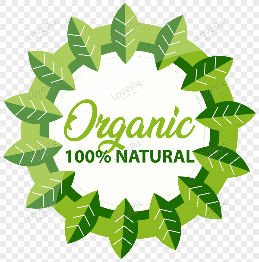 Organic eco word logo Premium vector PNG - Similar PNG