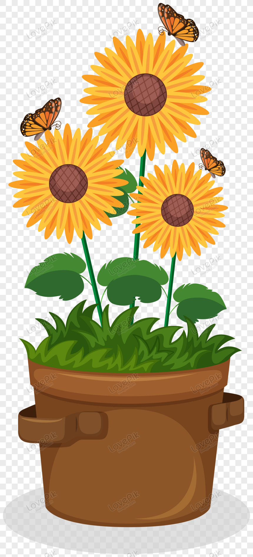 Hermoso Diseño De Plantas De Girasol PNG Imágenes Gratis - Lovepik