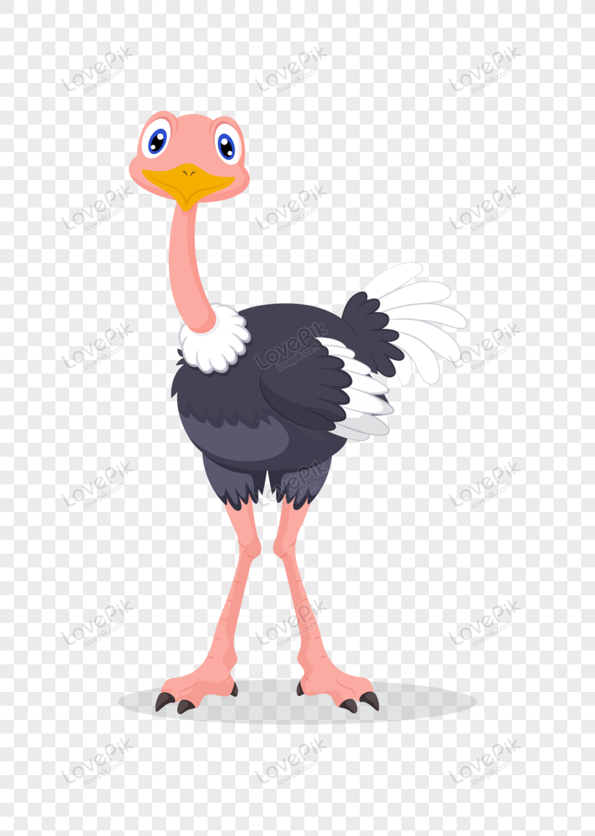 Clipart ostrich, stand, wild, comic png transparent background