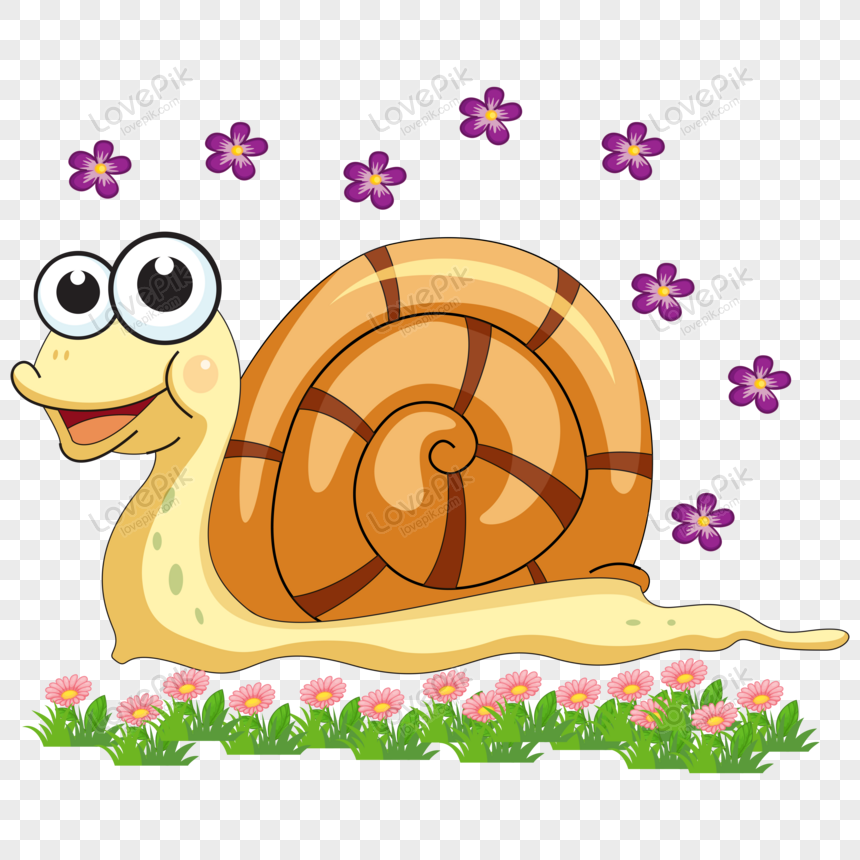 Cute Cartoon Shells Illustration PNG Transparent Image And Clipart ...