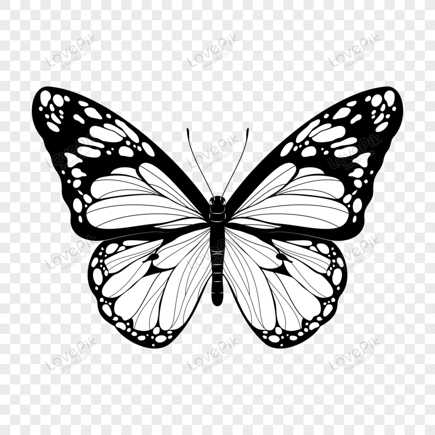 White Butterflies PNG Images With Transparent Background | Free Download On  Lovepik