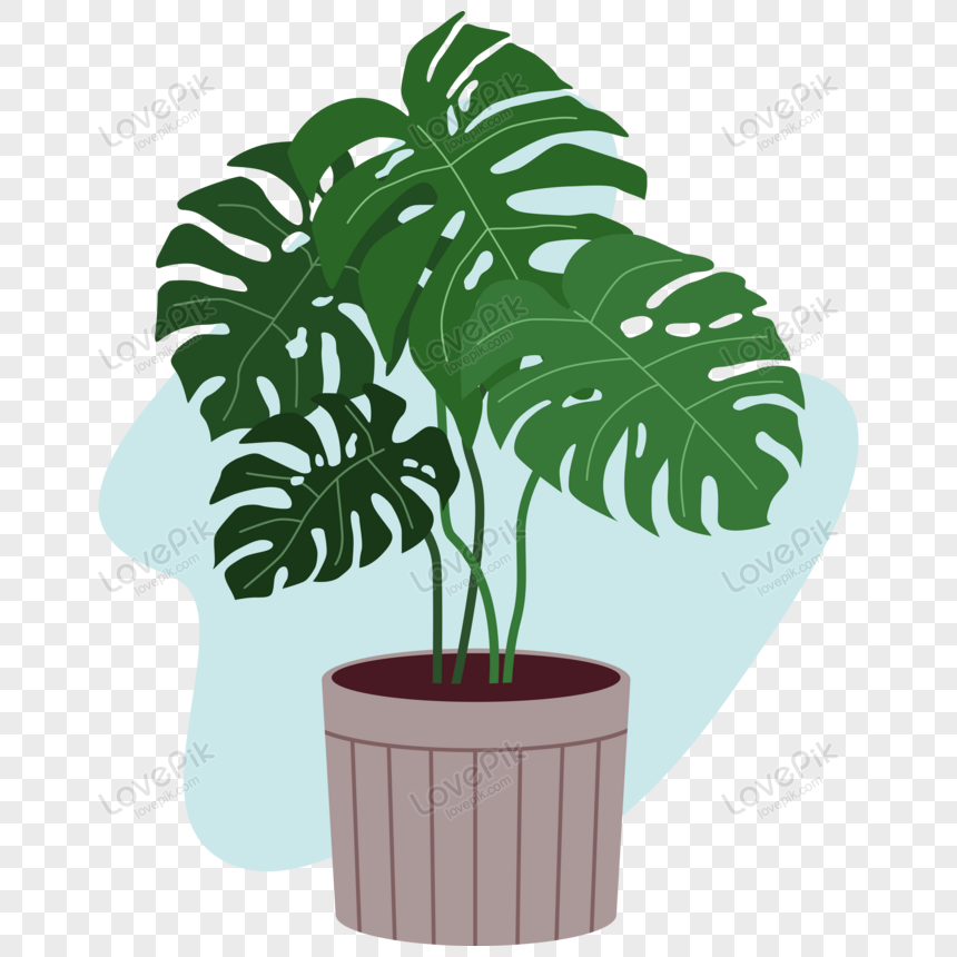 Floral Plants Png Image Free Download And Clipart Image For Free 