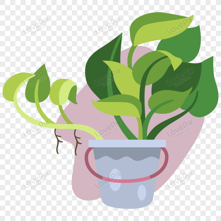 part of a plant clipart without background