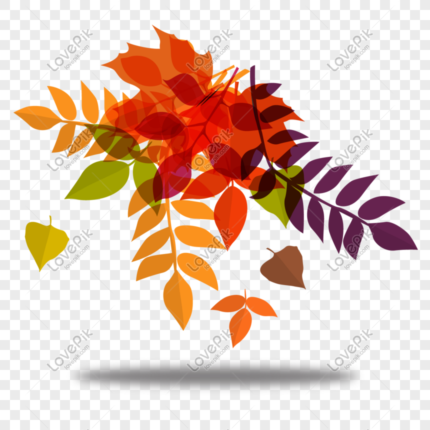 Illustration Hand Drawn Colorful Leaf Decoration PNG Image and PSD File For Free Download - Lovepik | 648742344