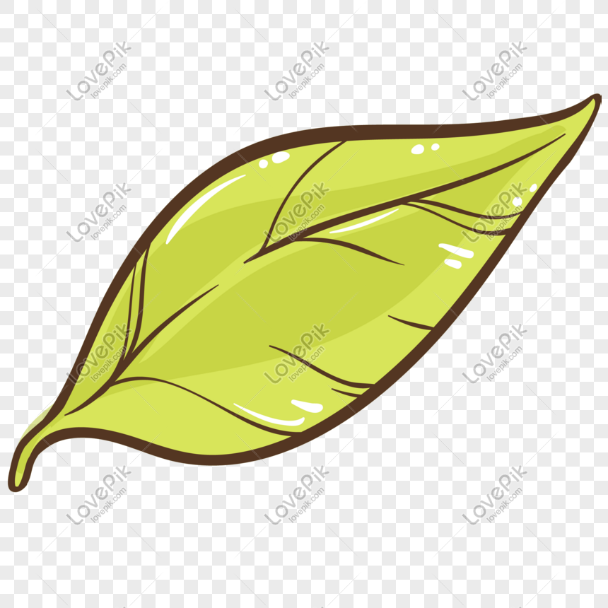 Векторная иллюстрация свежих чайных листьев изображение_Фото номер  611647982_PSD Формат изображения_ru.lovepik.com