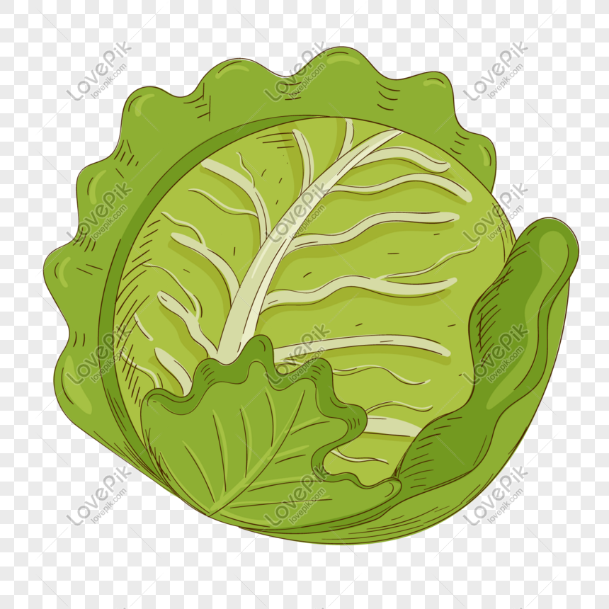 हरी हाथ से तैयार गोभी खाद्य तत्व चित्र डाउनलोड_ग्राफिक्सPRFचित्र  आईडी611645230_PSDचित्र प्रारूपमुफ्त की तस्वीर