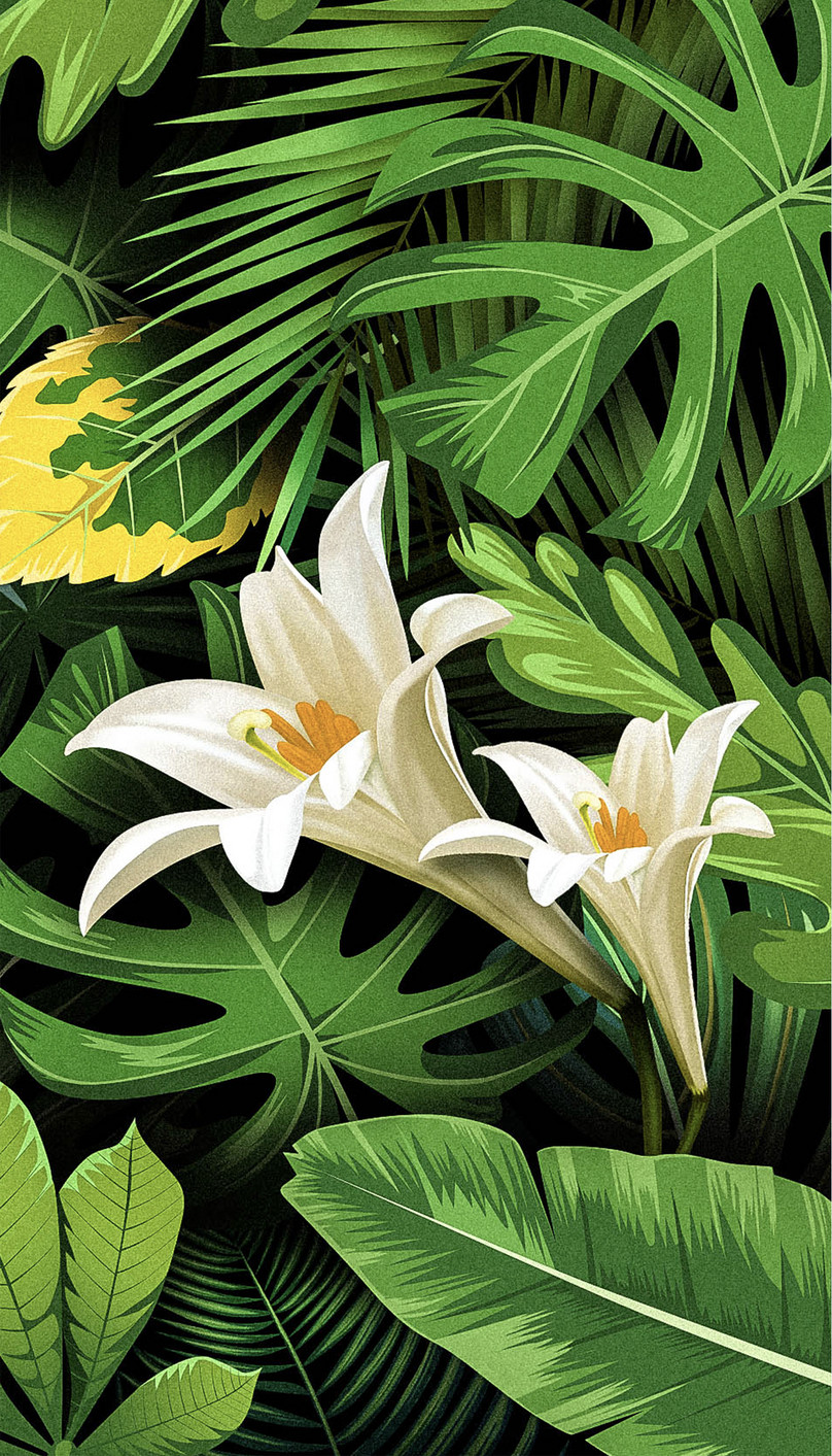 花植物の携帯壁紙イメージ 背景 Id 400207689 Prf画像フォーマット