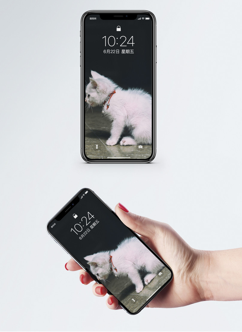 白猫の携帯壁紙イメージ 背景 Id Prf画像フォーマットjpg Jp Lovepik Com