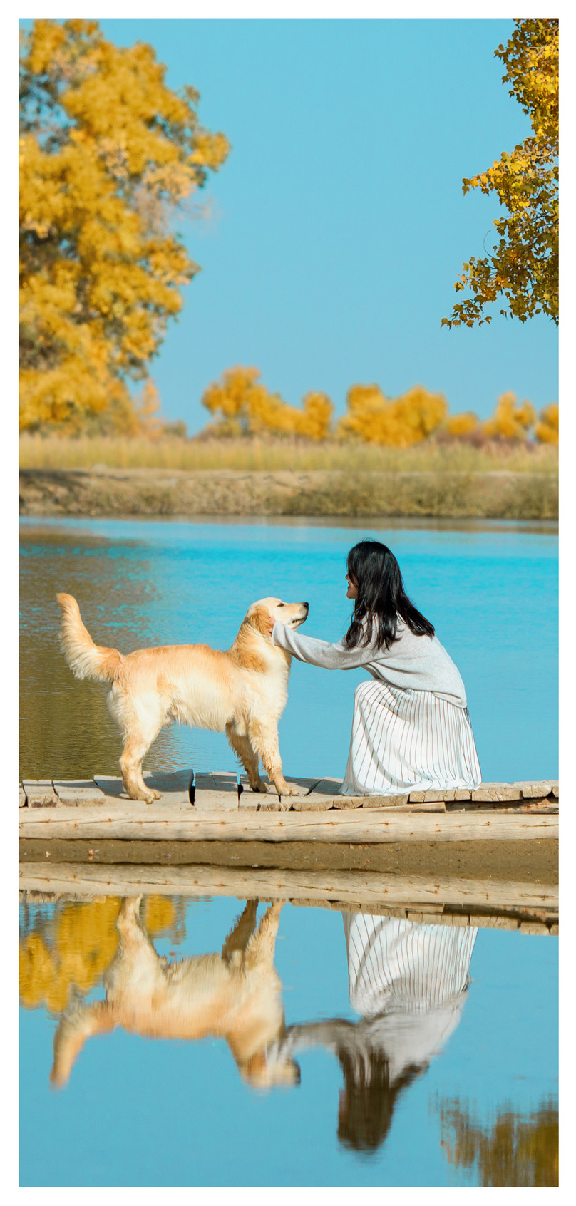 少女と犬の携帯壁紙イメージ 背景 Id Prf画像フォーマットjpg Jp Lovepik Com