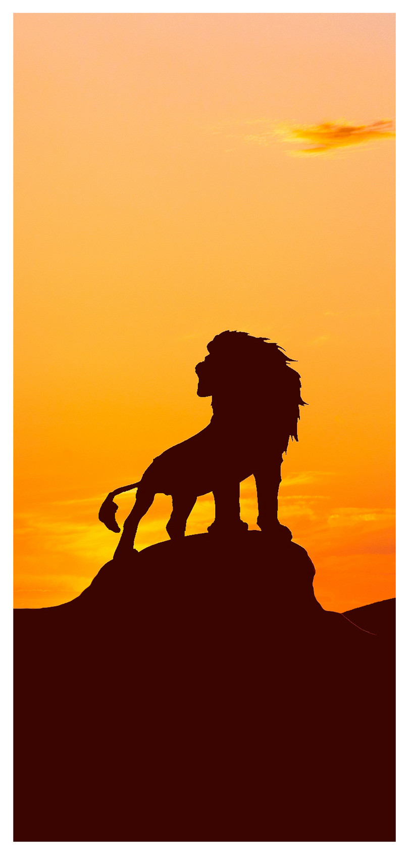 Lion Hd Wallpapers For Mobile Phones