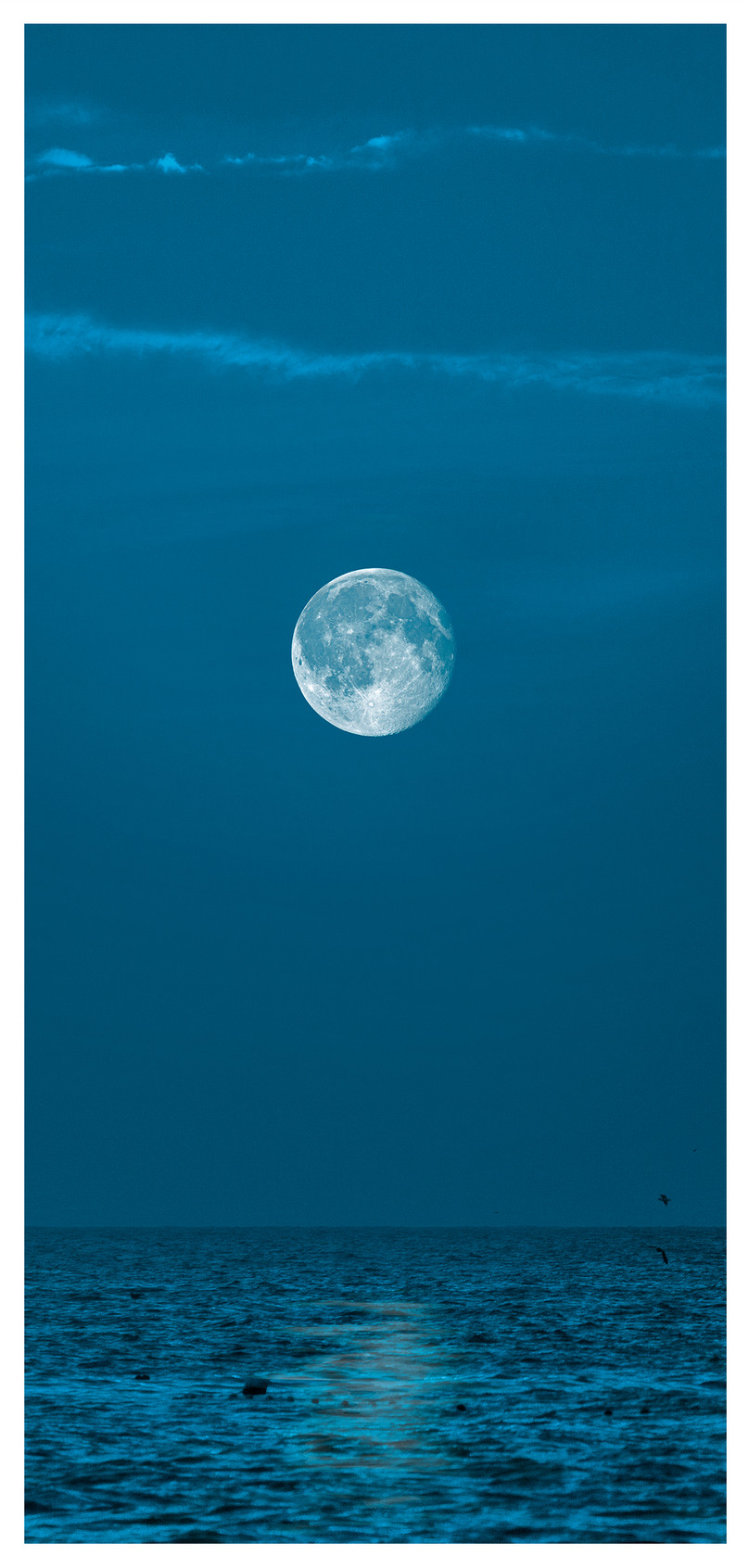 月圓之夜手機壁紙圖片素材 Jpg圖片尺寸1125 2436px 高清圖片