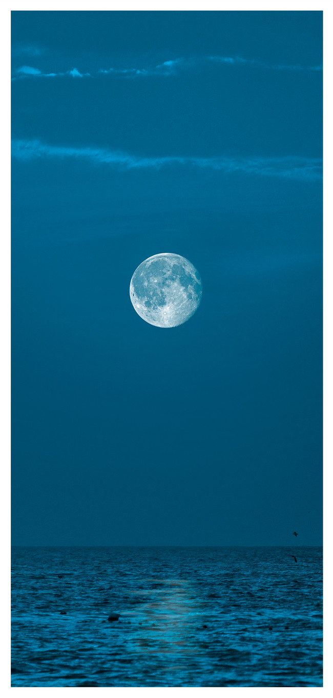 満月の夜の携帯電話の壁紙イメージ 背景 Id Prf画像フォーマットjpg Jp Lovepik Com