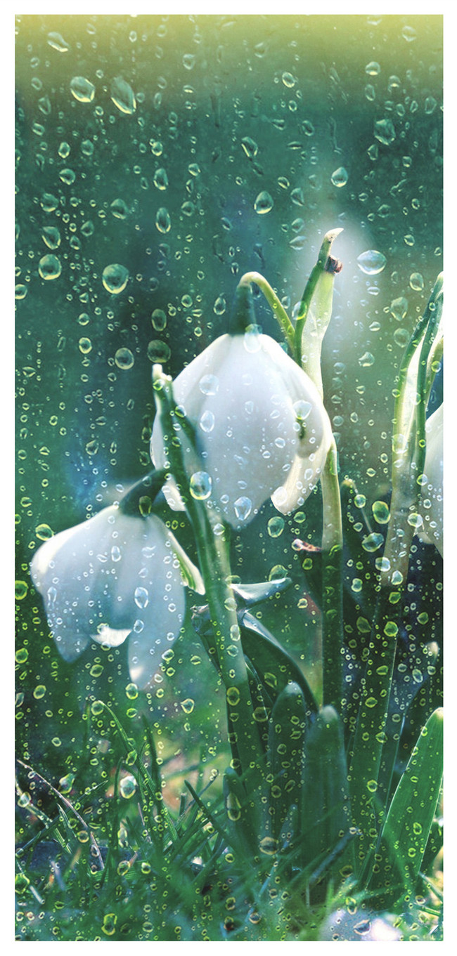 Spring Mobile Wallpaper Backgrounds Images Free Download Lovepik Com