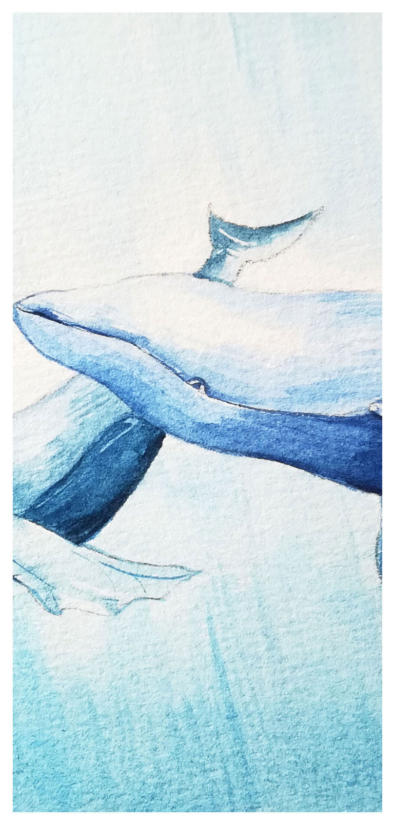 水彩クジラ携帯電話の壁紙イメージ 背景 Id 400471306 Prf画像