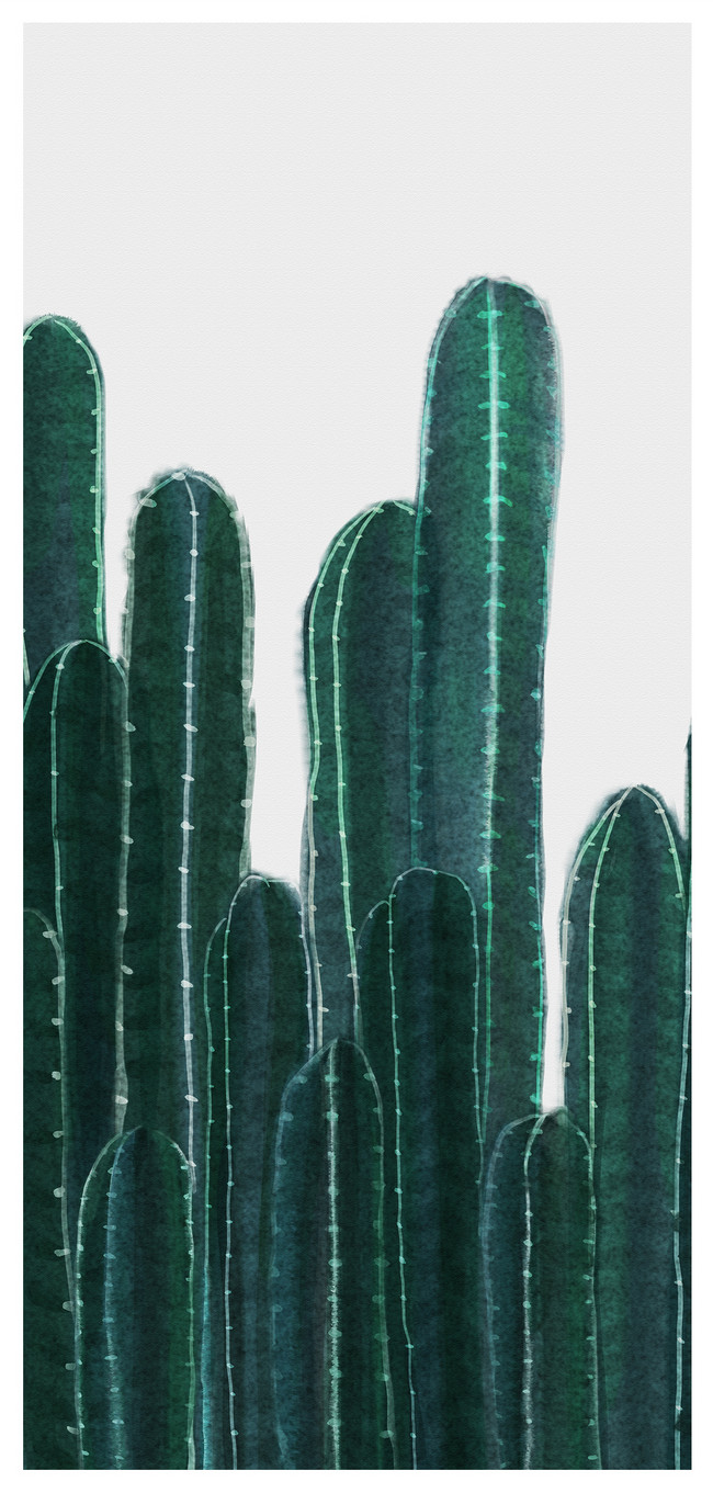 Bilder Zum Nordic Kaktus Handy Wallpaper Download Hintergrunde Id400471898 Jpg Bilder Prf De Lovepik Com