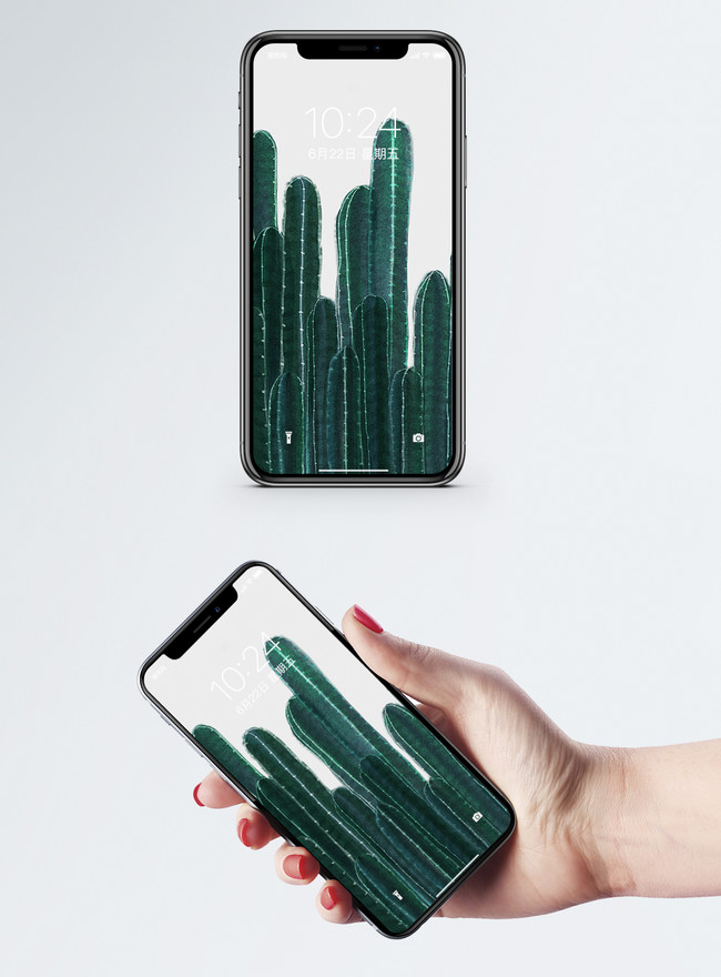 Bilder Zum Nordic Kaktus Handy Wallpaper Download Hintergrunde Id Jpg Bilder Prf De Lovepik Com