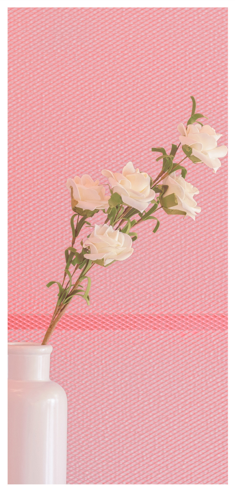 Menakjubkan 24 Wallpaper  Bunga  Dalam Vas Gambar Bunga  HD