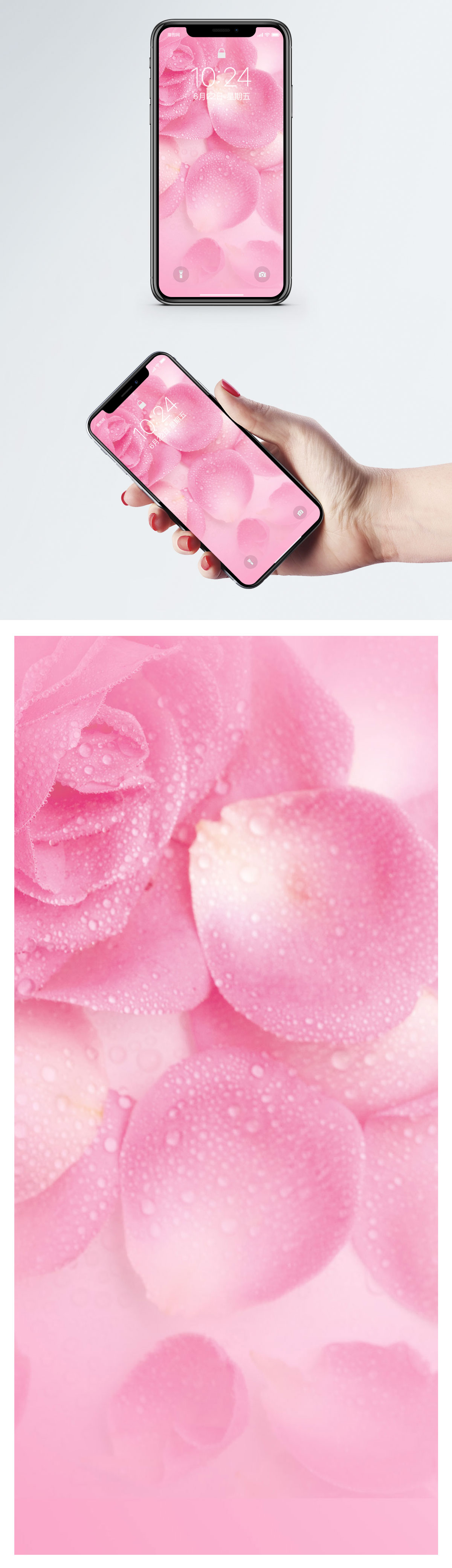 バラの花びらモバイル壁紙イメージ 背景 Id Prf画像フォーマットjpg Jp Lovepik Com