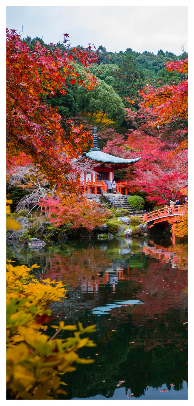 京都的秋天手機壁紙圖片素材 Jpg圖片尺寸1125 2436px 高清圖片 Zh Lovepik Com